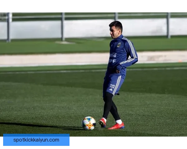 科雷亚阿根廷国家队表现稳健，世界杯预选赛前景值得关注