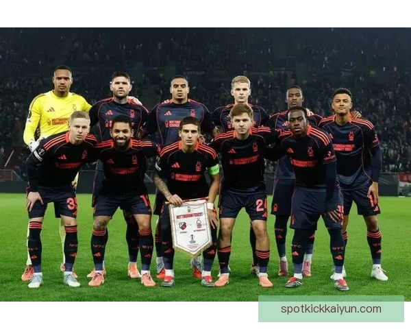 足球新星盘点榜：多位年轻球员本赛季表现稳健备受期待